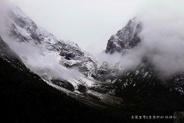 全战：幕府将军2
