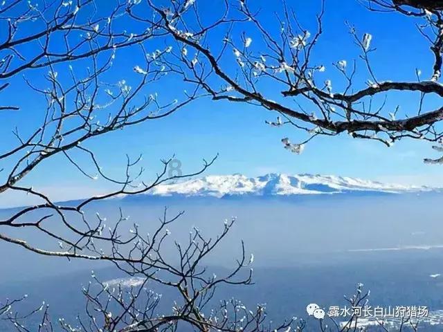 老公今天摁着我打我的头，还说让我滚，滚回乡下去，我现在改怎么做，脑子一片空白只会哭不知道该怎么办才游戏画面