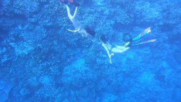 女生中最有高超的分析和解决问题的能力的4大星座